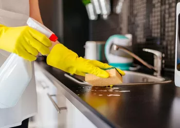 Franke Tezgah Bakım ve Temizliği